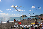 Ischia Wind Art, festival degli aquiloni 5