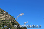Ischia Wind Art, festival degli aquiloni 11