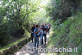 Ischia, Andar per sentieri 1