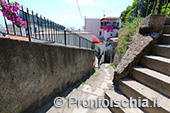 Da Ischia Ponte a Cartaromana 17