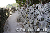 Ischia perché Isola Verde 10