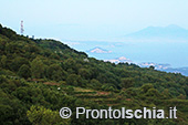 Escursioni a Ischia: tramonto al Monte Epomeo 80