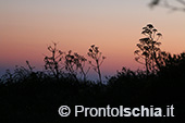 Escursioni a Ischia: tramonto al Monte Epomeo 85