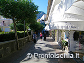 Capri, l'isola Azzurra 35