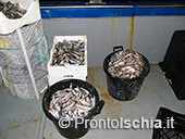 Pescaturismo a Ischia 5