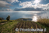 Tra mare e terra. I borghi dell'isola d'Ischia 1