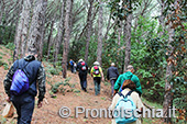 Escursioni a Ischia: dal Bosco della Maddalena a Sant'Angelo 3