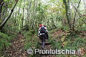 Escursioni a Ischia: dal Bosco della Maddalena a Sant'Angelo 20