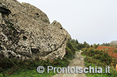 Escursioni a Ischia: dal Bosco della Maddalena a Sant'Angelo 41