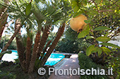 Gli hotel vicino Piazza degli Eroi, Ischia Porto 3