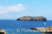 Ventotene, alla scoperta di un'isola 42